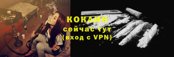 гидра Верхний Тагил