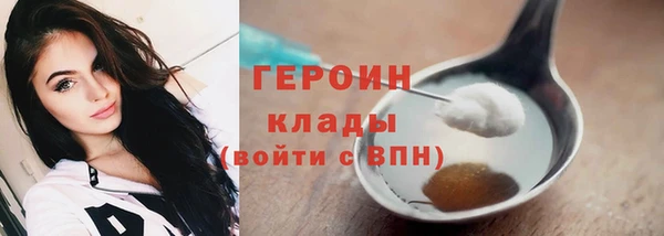 гидра Верхний Тагил