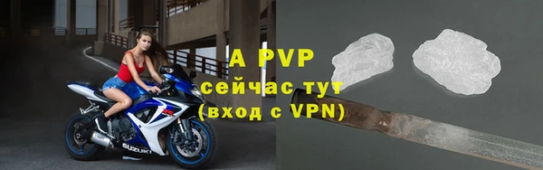 гидра Верхний Тагил