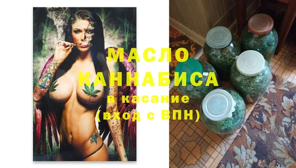 гидра Верхний Тагил