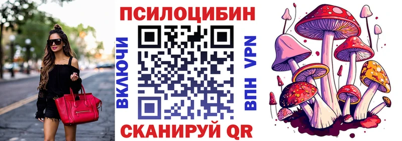 как найти   площадка наркотические препараты  Галлюциногенные грибы мицелий  Чусовой 